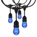 Arlmont & Co. Keiveon 24Ft - LED String Light - 12-S14 Lamps - 12 Volts - RGBW w/ Infrared Remote in Black | 3.46 H x 288 W in | Wayfair