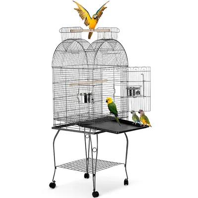 IKayaa – Cage à perroquets en fer forgé Cage à oiseaux aras cacatoès perruche conque pinsons