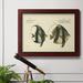 Rosecliff Heights Bloch Antique Fish I - Picture Frame Graphic Art on Canvas in Green | 16 H x 20 W x 2 D in | Wayfair