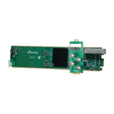 BirdDog openGear 4-Channel NDI Encoder/Decoder BDO...