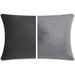 Latitude Run® 2 PCS Luxurious Premium Down Rectangular Polyester/Polyfill in Gray | 1 H x 12 W x 20 D in | Wayfair C40C2CDFB85B4AACBF4F0A33DBF248BE