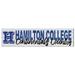 Hamilton Continentals 40'' x 10'' Logo Sign