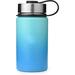 Orchids Aquae Double Wall Stainless Steel Water Bottle in Green/Blue | 14oz | Wayfair 01DW7451XDTD84YL0Y