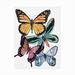 Rosalind Wheeler Alayzhia Butterfly Swatches I Outdoor Wall Decor All-Weather Canvas, Wood | 19 H x 14 W x 1.5 D in | Wayfair