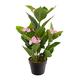 Closer2Nature 2ft - Pink Hydrangea Plants - Artificial Plant; Faux Silk Flowers Indoor Plant Perfect for Home Decor - Kitchen, Lounge and Office