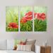 Red Barrel Studio® Red Blossoming Poppies III - 3 Piece Painting on Canvas Metal in Green/Red | 32 H x 48 W x 1 D in | Wayfair