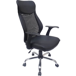 Bürostuhl FY13527, Kunststoff, verstellbare Sitzhöhe, Kopfstütze, schwarz Image