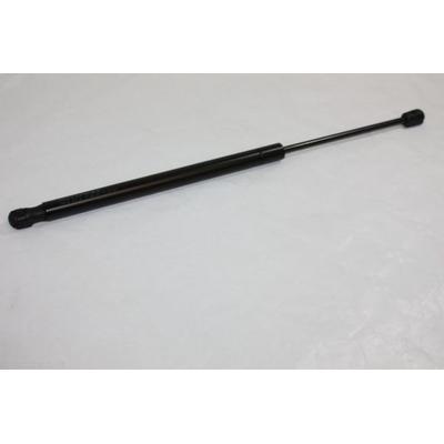 AUTOMEGA Gasfeder, Koffer-/Laderaum beidseitig 625N für GENERAL MOTORS VAUXHALL OPEL 0176725 13241974 100100310 Image