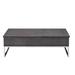 Modern Coffee Table Wooden End Table w/Lift Top Gray Oak & Chrome