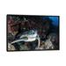 East Urban Home 'A Turtle Rests on a Ledge on a Coral Reef North Sulawesi Indonesia' Photographic Print on Canvas Metal in Black/Gray/White | Wayfair