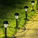 Solar Pathway Lights Outdoor Garden Warm White LED Lights 8 Pack - 8 Pack