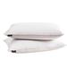 Farm to Home Softy-around Medium Firm Support Pillow Set of 2 Down & Feathers/100% Cotton in White | 20 H x 36 W x 2 D in | Wayfair FH203604K