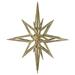 Vickerman 3D Glitter Star Ornament Plastic in Brown | 22 H x 22 W x 1.06 D in | Wayfair M148438