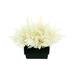 Primrue Pampas Floral Arrangement in Vase Polysilk | 13 H x 16 W x 16 D in | Wayfair 8FDD3A1EA76F400D944DE5AD938A28C3