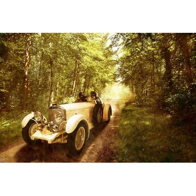 Fototapete PAPERMOON "Oldtimer in wald", bunt, B:5,00m L:2,80m, Vlies, Tapeten
