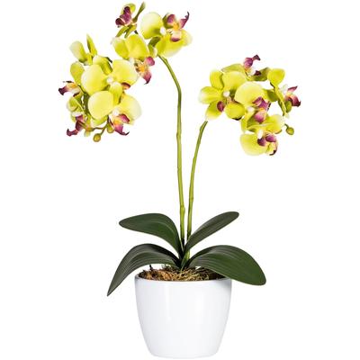 Kunstpflanze CREATIV GREEN "Phalaenopsis", grün, B:11cm H:50cm T:11cm Ø:11cm, Polyester, Kunststoff, Kunstpflanzen Image