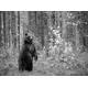PAPERMOON Fototapete "Bär im Wald Schwarz & Weiß" Tapeten Gr. B/L: 4,00 m x 2,60 m, Bahnen: 8 St., schwarz (schwarz, weiß) Fototapeten