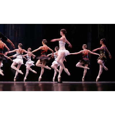 Fototapete PAPERMOON "Ballett", bunt, B:4,00m L:2,60m, Vlies, Tapeten Image
