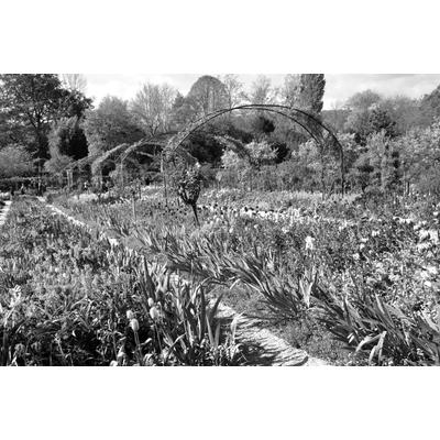 Fototapete PAPERMOON "Garten Schwarz & Weiß", schwarz (schwarz, weiß), B:5,00m L:2,80m, Vlies, Tapeten Image