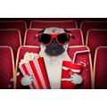 PAPERMOON Fototapete "Hund im Kino" Tapeten Gr. B/L: 2,50 m x 1,86 m, Bahnen: 5 St., bunt Fototapeten