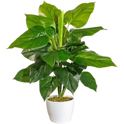 Künstliche Zimmerpflanze ANDAS "Jarla", grün, B:31cm H:50cm, Kunststoff, Kunstpflanzen, Künstliche Zimmerpflanze, im Keramiktopf Image