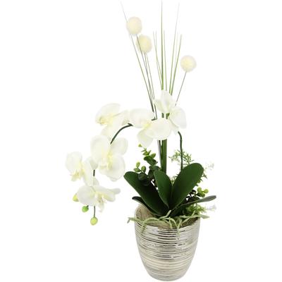 Kunstblume I.GE.A. "Arrangement Orchidee/Gras", beige (creme), B:25cm H:60cm L:16cm, Kunstpflanzen, Topf aus Keramik