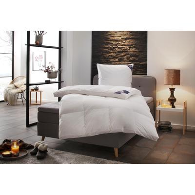 Daunenbettdecke SPESSARTTRAUM "Exklusiv, Bettdecken für Sommer und Winter, Decke", weiß, B:160cm L:210cm, Bezug: 100% Baumwolle. Füllung: 100% Daunen, Bettdecken, 5 Wärmeklassen & 8 Größen, Bestseller Image