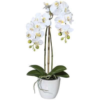 Kunstpflanze CREATIV GREEN "Orchidee Phalaenopsis", weiß, H:43cm, Kunststoff, Kunstpflanzen, im Keramiktopf Image