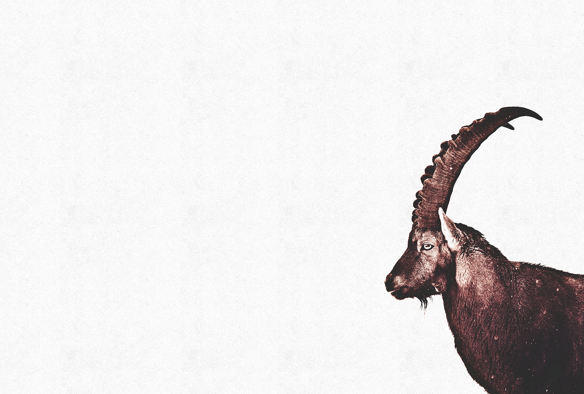 Fototapete LIVING WALLS "ARTist Capricorn Snow", braun (braun, weiß), B:4m L:2,7m, Vlies, Tapeten, Vlies, Wand, Schräge