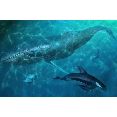 Fototapete PAPERMOON "Wal und Orcas", bunt, B:4,00m L:2,60m, Vlies, Tapeten Image