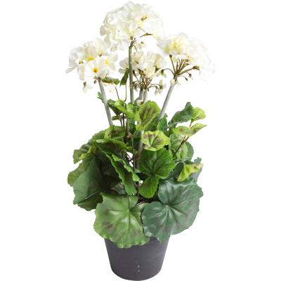 Künstliche Zimmerpflanze BOTANIC-HAUS "Geranienbusch im schwarzen Kunststofftopf", beige (creme), B:22cm H:44cm T:22cm Ø:22cm, Kunststoff, Kunstpflanzen Image