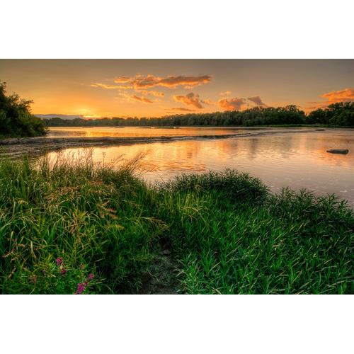 PAPERMOON Fototapete ""Fluss im Wald"" Tapeten Gr. B/L: 5,00 m x 2,80 m, Bahnen: 10 St., bunt