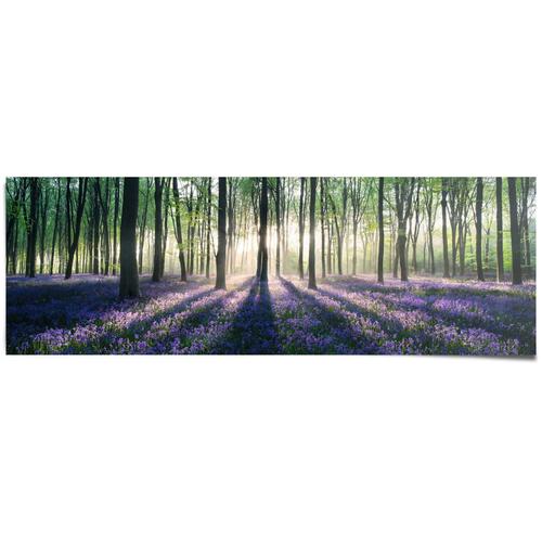 "Poster REINDERS ""Glockenblumen im Wald"" Bilder Gr. B/H: 158 cm x 53 cm, lila Bilder"