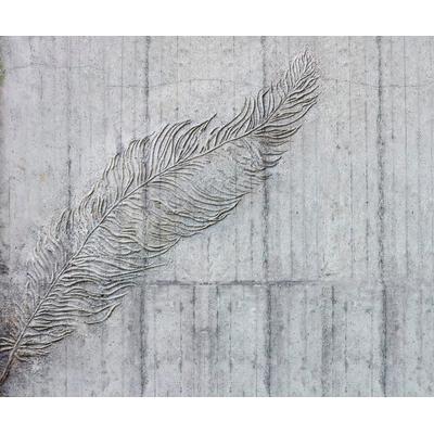 Vliestapete KOMAR "Digitaldruck Vlies - Betonfeder - Größe 300 x 250 cm", grau, B:300m L:250m, Vlies, Tapeten, Wohnzimmer, Schlafzimmer Image