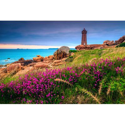 Fototapete PAPERMOON "LEUCHTTURM-BRETAGNE BLUMEN WIESE MEER OZEAN KÜSTE BERGE", bunt, B:5,00m L:2,80m, Vlies, Tapeten Image