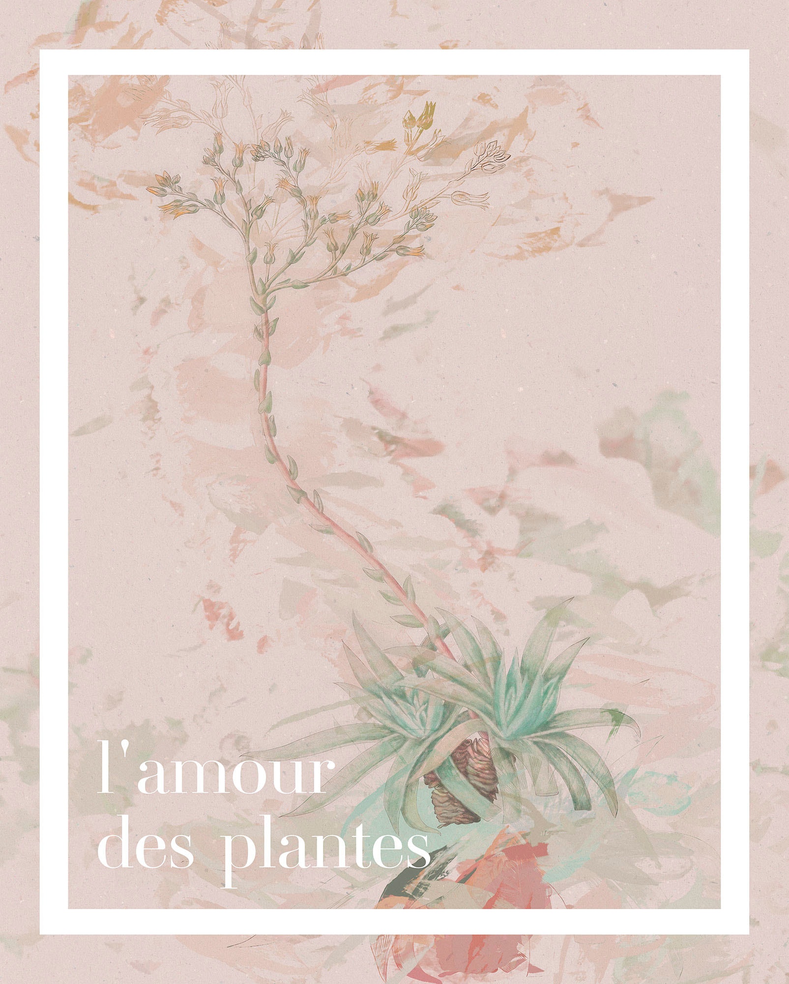 Bild KOMAR "PLANT ART L'amour des plantes", rosa (farbe bild(er): rosa), B:40cm H:50cm, Holz, Papier, Bilder, Wandbild zur Dekoration - ohne Rahmen Image