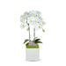 T&C Floral Company Orchid in Vase Plastic | 24 H x 5 W x 5 D in | Wayfair F2163WWP