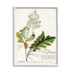 Trinx Botanical Plant Illustration Leaves Vintage Design Canvas Wall Art By World Art Group Canvas in Green/White | 14 H x 11 W in | Wayfair