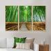 Loon Peak® Path To Bamboo Forest - Landscape Framed Canvas Wall Art Set of 3 Canvas in White | 28 H x 36 W x 1 D in | Wayfair