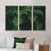 Bayou Breeze Dark Green Ferns In The Forest I - Tropical Framed Canvas Wall Art Set Of 3 Canvas, Wood in White | 28 H x 36 W x 1 D in | Wayfair