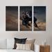 Foundry Select Portrait of Thoroughbred Nonius Stallion Horse I - Farmhouse Framed Canvas Wall Art Set Of 3 Canvas, in White | Wayfair