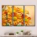 August Grove® Yellow Flowers In The Garden - Floral Framed Canvas Wall Art Set Of 3 Metal in Green/Yellow | 32 H x 48 W x 1 D in | Wayfair