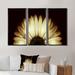 Gracie Oaks Sunflower In Black Background - Floral Framed Canvas Wall Art Set Of 3 Canvas, Wood in White | 20 H x 36 W x 1 D in | Wayfair