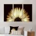 Gracie Oaks Sunflower In Black Background - Floral Framed Canvas Wall Art Set Of 3 Canvas, Wood in White | 28 H x 36 W x 1 D in | Wayfair