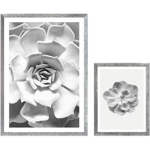 "Bild mit Rahmen KOMAR ""Succulent Aeonium"" Bilder Gr. B/H: 1x 30x40 cm und 1x 50x70 cm, Succulent Aeonium 1x 30x40 cm und 1x 50x70 cm, 2 St., bunt Bilder mit Rahmen maschinell"