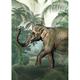 ART FOR THE HOME Fototapete "Elefant" Tapeten 280x200cm Gr. B/L: 2 m x 2,8 m, bunt Fototapeten