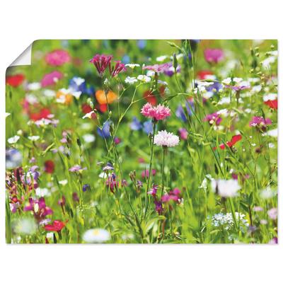 Wandbild ARTLAND "Blumenwiese I", grün (farbe bild(er): grün), B:40cm H:30cm, Papier, Bilder, als Leinwandbild, Poster in verschied. Größen Image