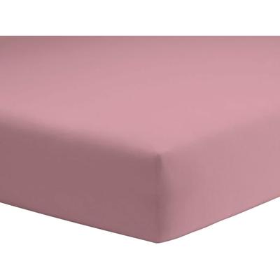 Spannbettlaken SCHLAFGUT "Mako-Jersey aus 100% Baumwolle, Bettlaken", beige (puder), B:180-200cm L:200cm, Mako-Jersey, Obermaterial: 100% Baumwolle, Laken, für Matratzen bis 20 cm Höhe, in 90x200, 140x200 oder 180x200 cm Image