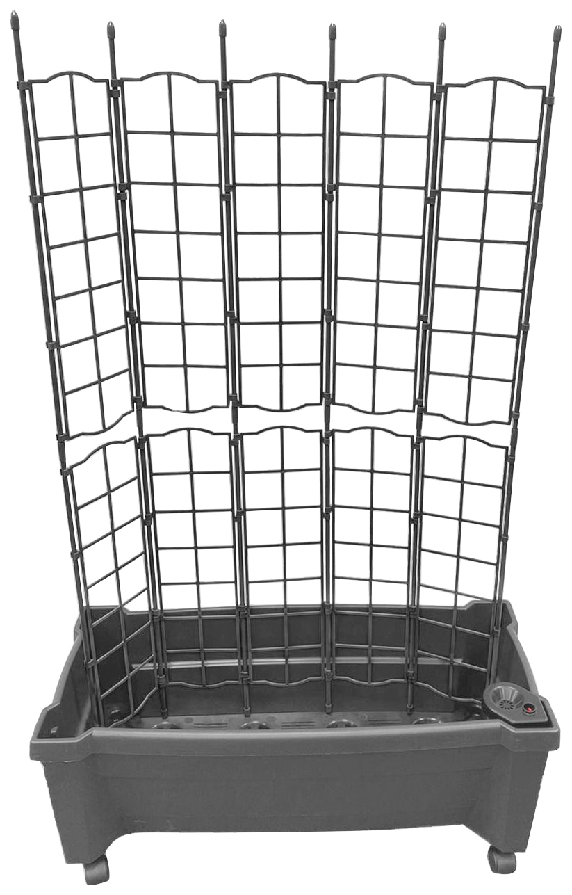 Spalier KHW "Calypso", grau, B:79cm H:115cm T:35cm, Kunststoff, Rankhilfen, BxTxH: 79x35x115 cm, Pflanzkasten mit Rollen und Bewässerungssystem Image