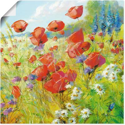 Wandbild ARTLAND "Sommerwiese mit Mohnblumen", bunt (farbe bild(er): bunt), B:30cm H:30cm, Bilder, als Alubild, Outdoorbild, Leinwandbild, Poster in verschied. Größen Image